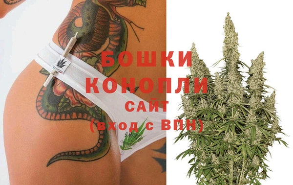 спайс Гусиноозёрск